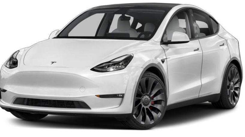 TESLA MODEL Y 2021 5YJYGDEF7MF073411 image